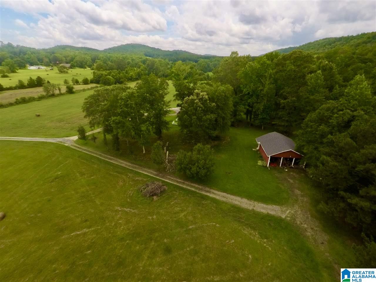 3775 Tidwell Hollow Road Oneonta, AL 35121 - Photo 48 of 49