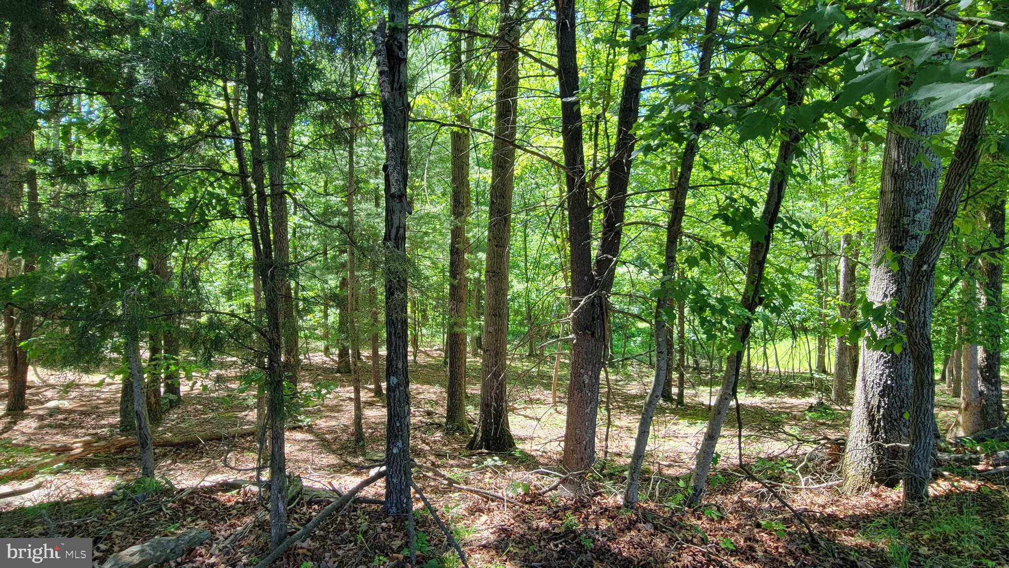 14630 Bain Road Hancock, MD 21750 - Photo 45 of 51