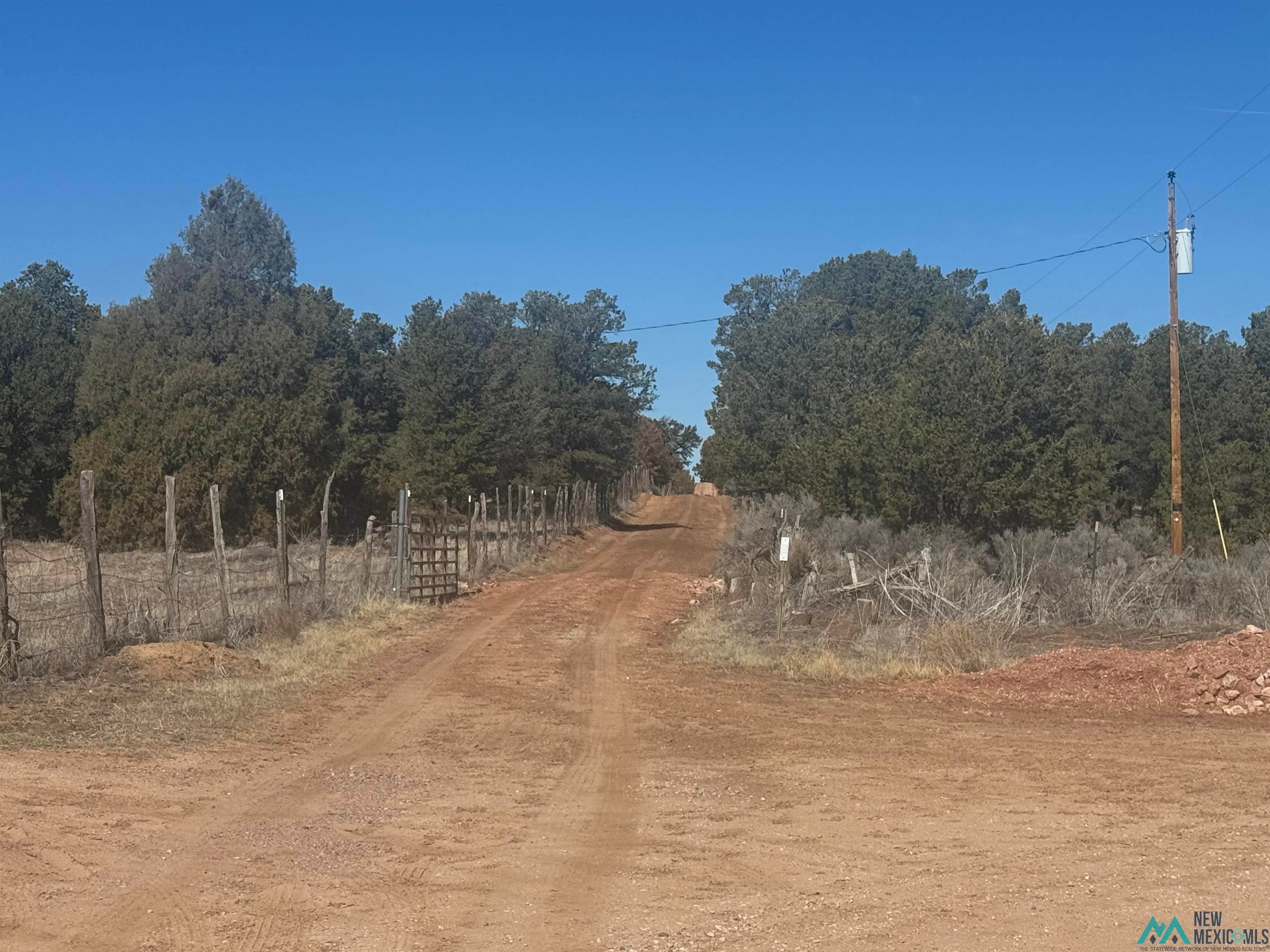 51 Panther Road Gallup, NM 87301 - Photo 4 of 12 View of road with a view of countryside