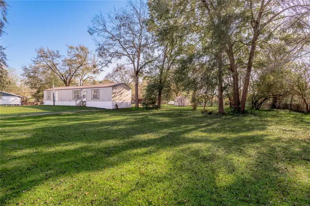 a view of a park with large trees