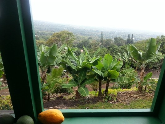 83-5602 Hawaii Belt Road Captain Cook, HI 96704 - Photo 1 of 19 Gallery Image 1