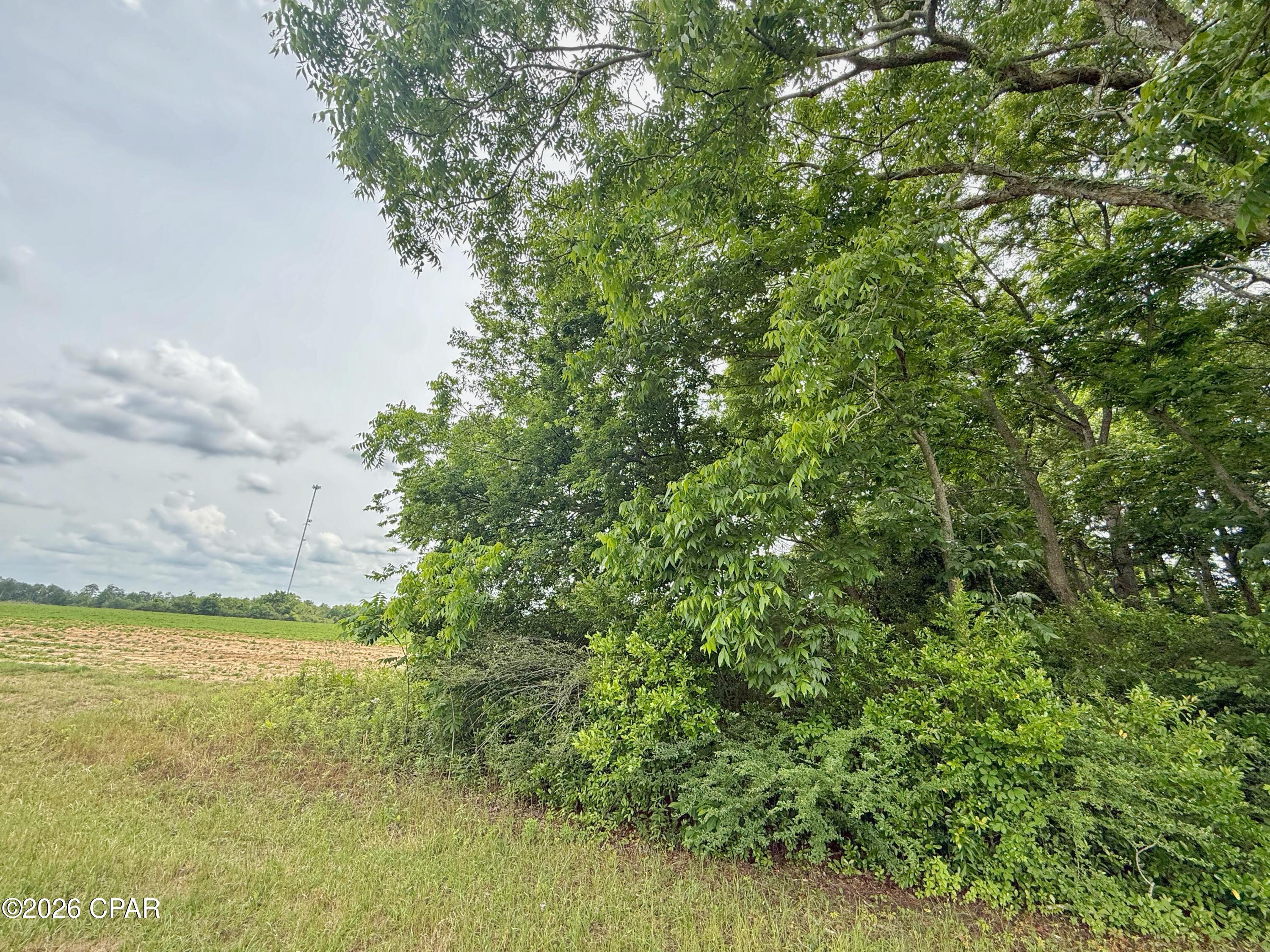 5107 Cloverdale Road Graceville, FL 32440 - Photo 15 of 21