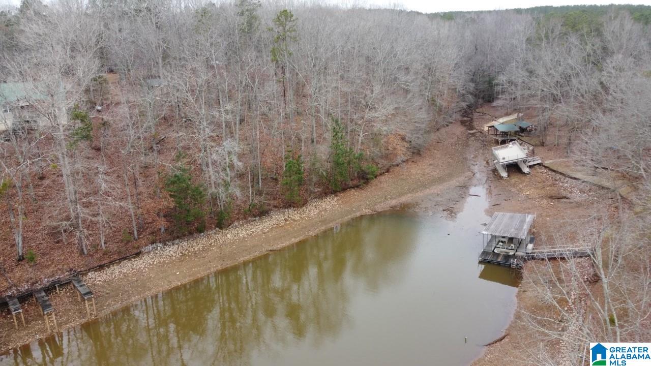 Warren Road, Unit 1 78 Wedowee, AL 36278 - Photo 2 of 6