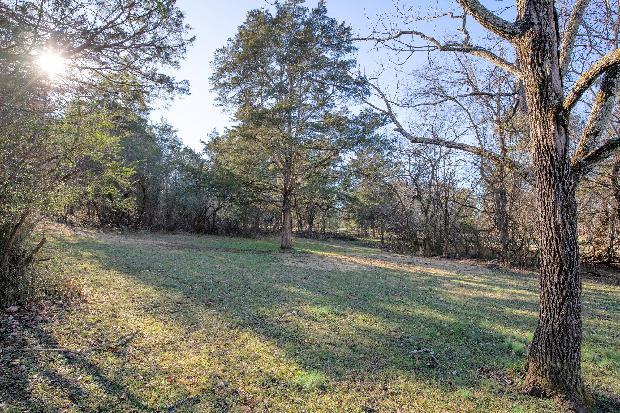 557 Peach Valley Road Gallatin, TN 37066 - Photo 55 of 75