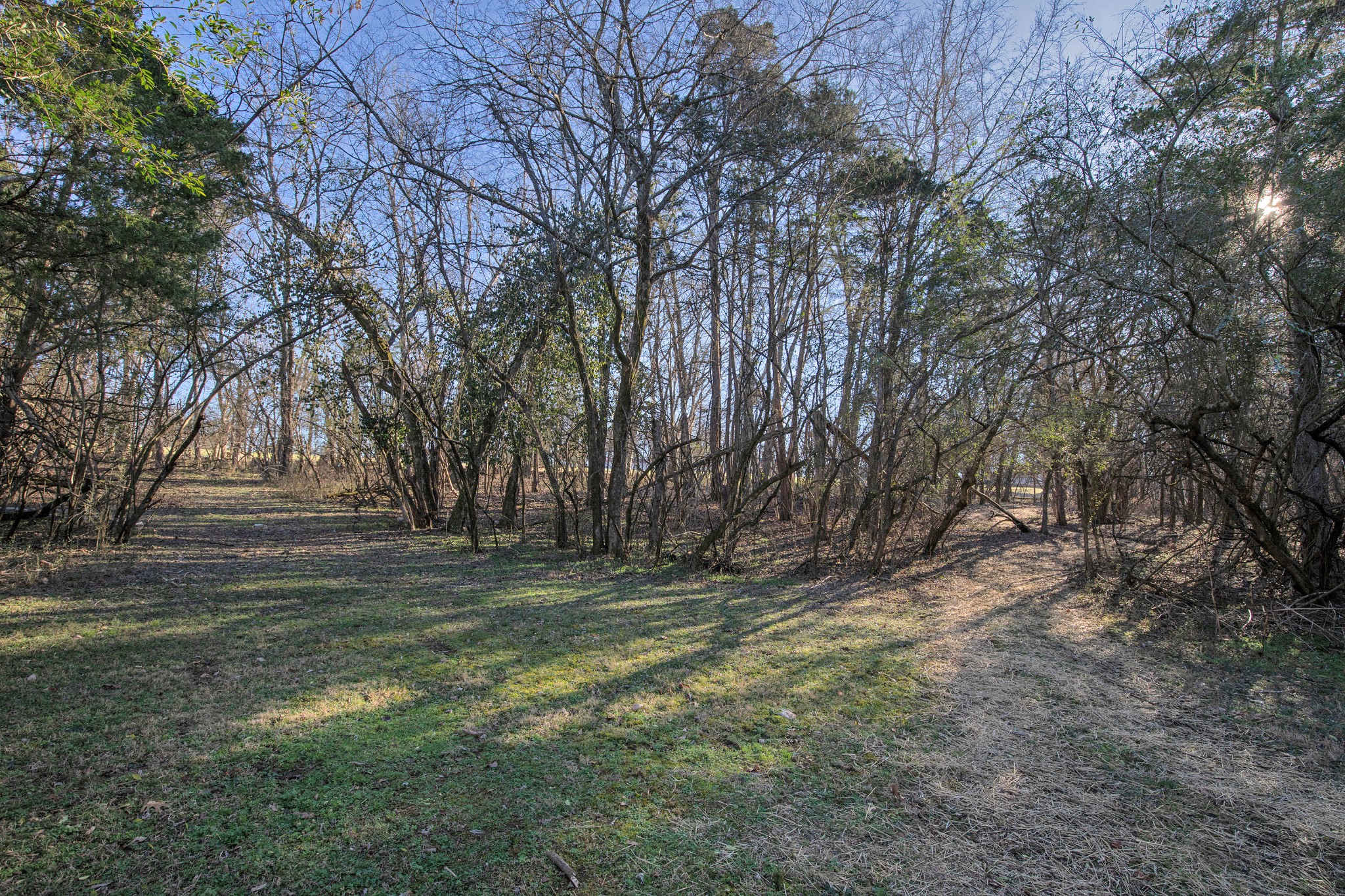 557 Peach Valley Road Gallatin, TN 37066 - Photo 56 of 75