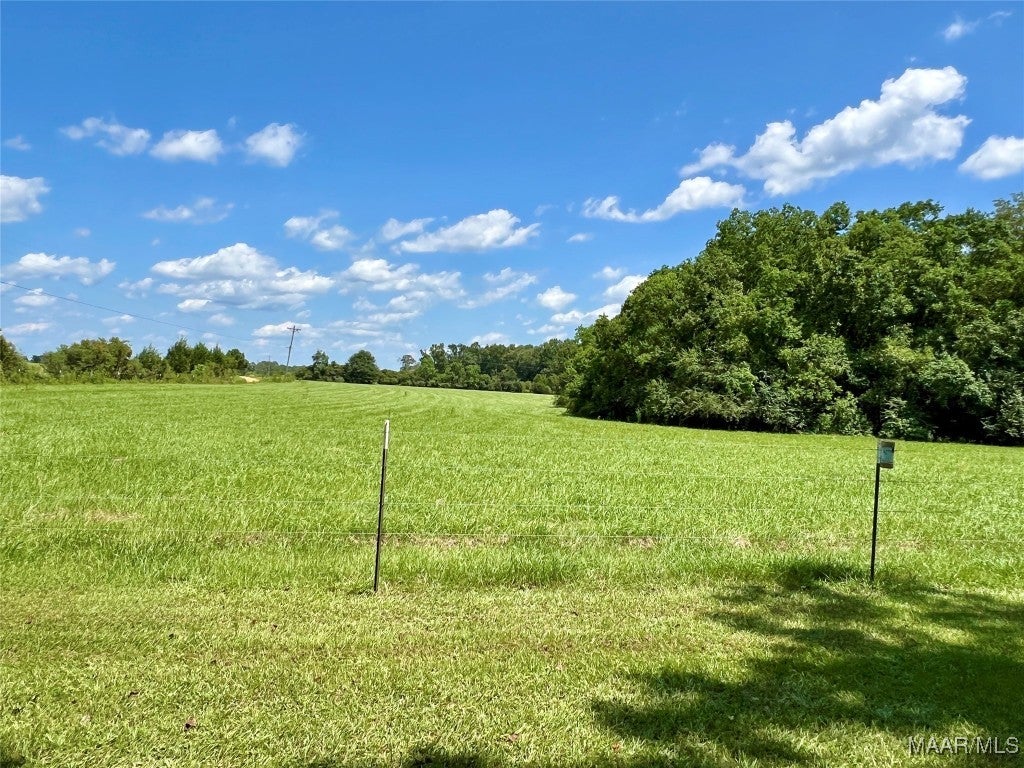 1091 Old Geneva Road Samson, AL 36477 - Photo 4 of 36 Gallery Image 4