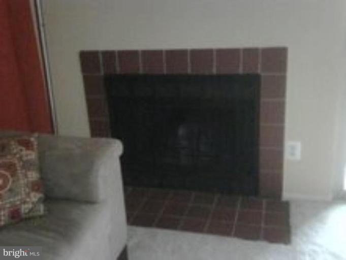 1727 Ascot Way, Unit 1727I Reston, VA 20190 - Photo 3 of 10 Fireplace