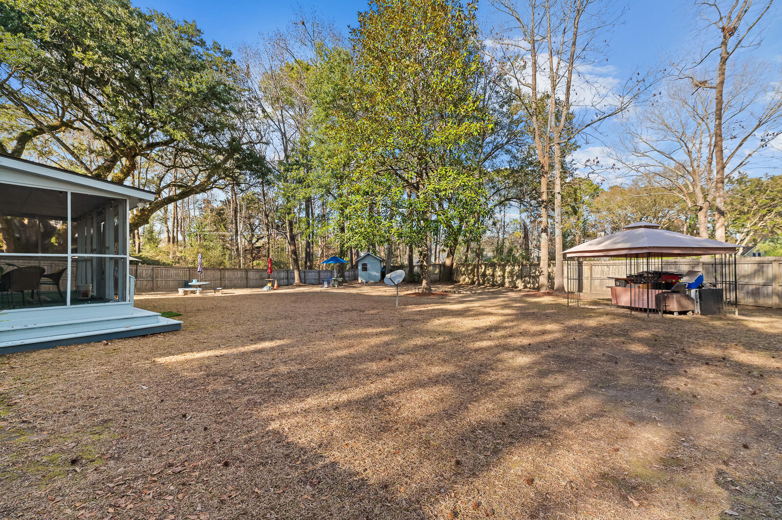 855 Springwood Circle Mount Pleasant, SC 29464 - Photo 20 of 28 Back Yard