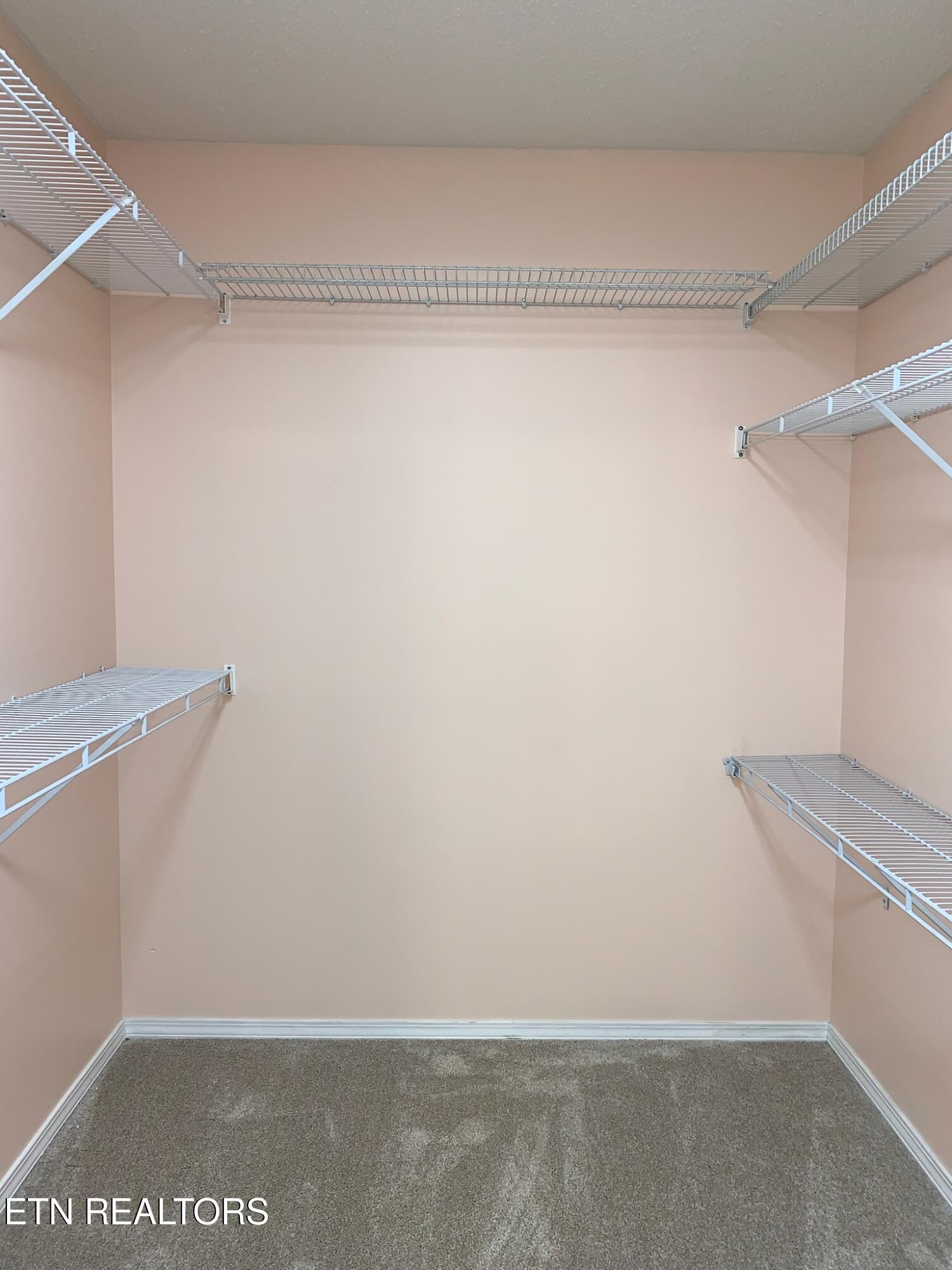 212 Tooweka Lane Loudon, TN 37774 - Photo 39 of 52 walk-in closet