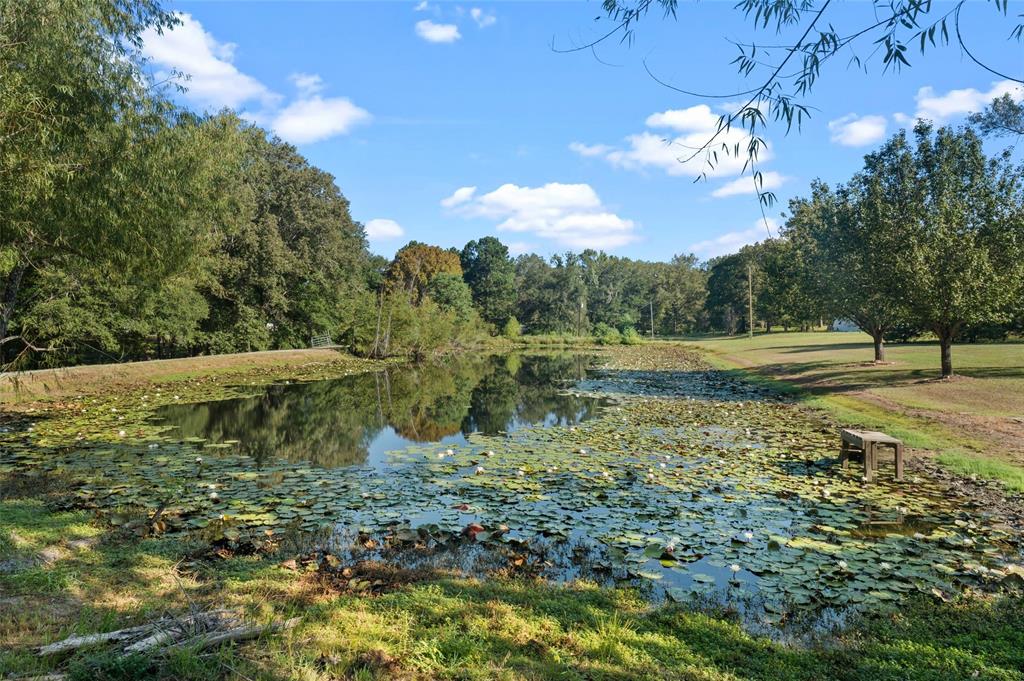 12181 Spring Street Keithville, LA 71047 - Photo 12 of 34 Gallery Image 12