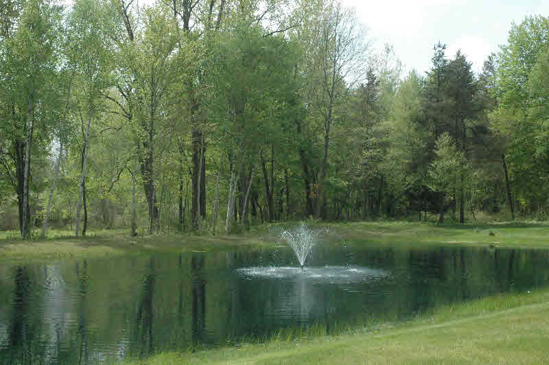 12534 Dice Road Freeland, MI 48623 - Photo 3 of 10