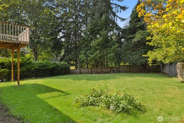 a view of a trees with a yard