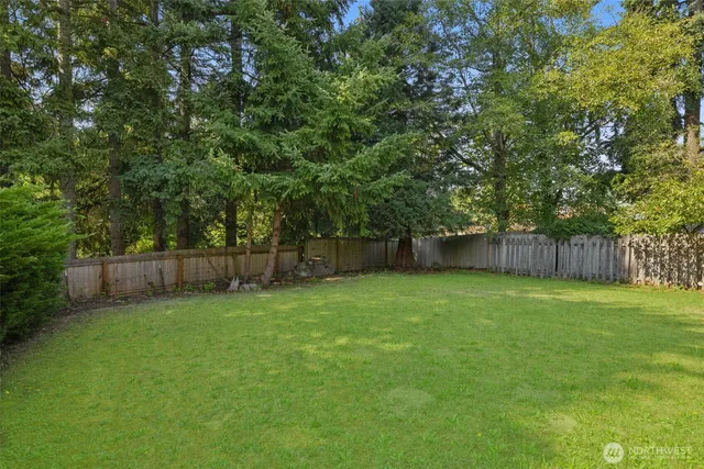 a view of a backyard with a trees and wooden fence