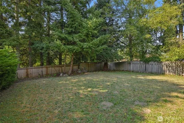 a view of a backyard with large trees and wooden fence