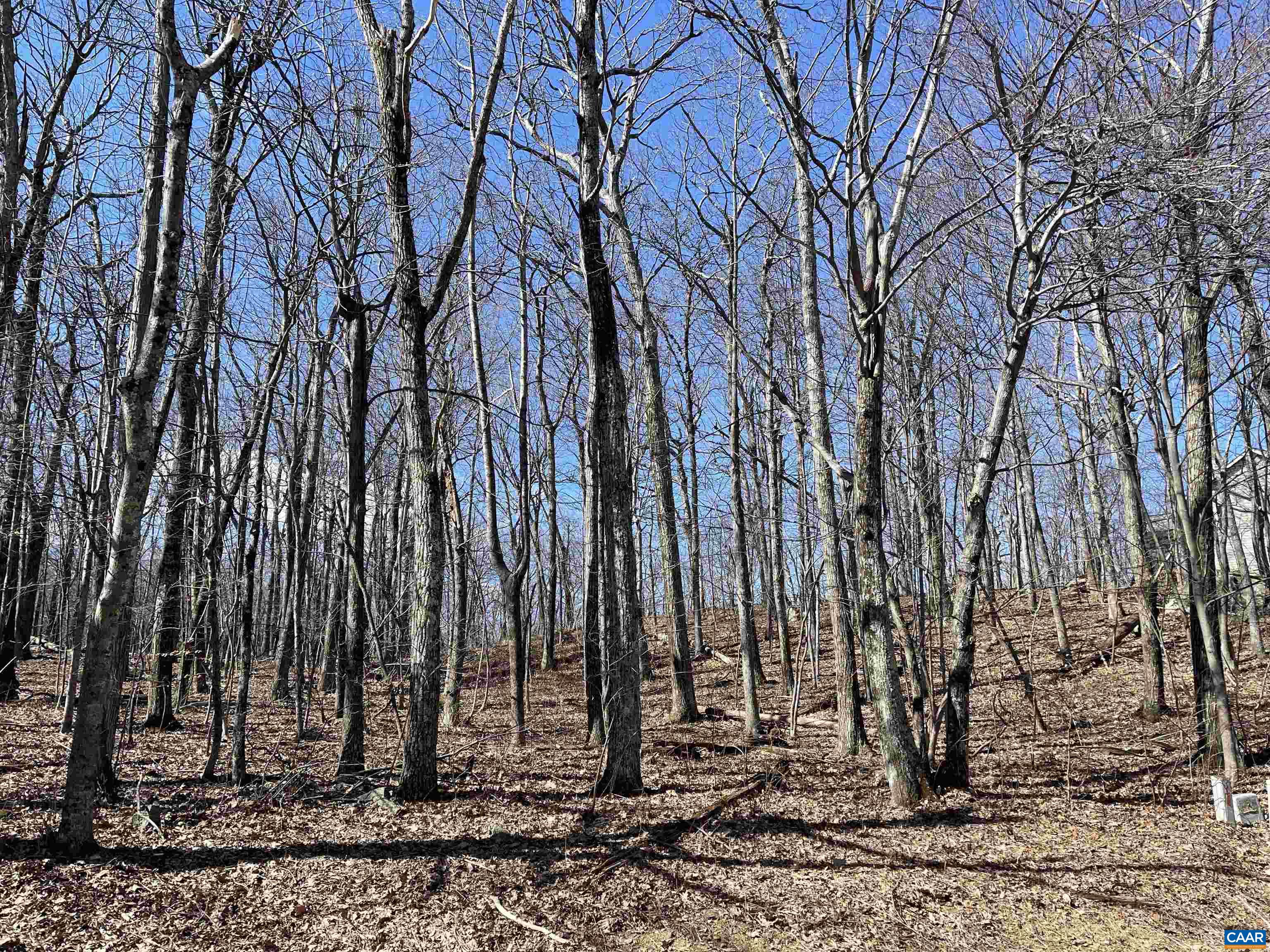 1025 Blue Ridge Drive Roseland, VA 22967 - Photo 4 of 7