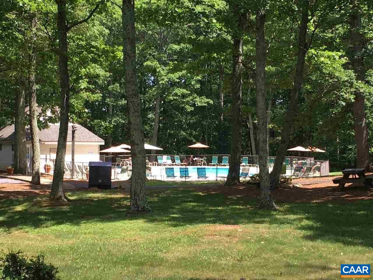 1025 Blue Ridge Drive Roseland, VA 22967 - Photo 6 of 7