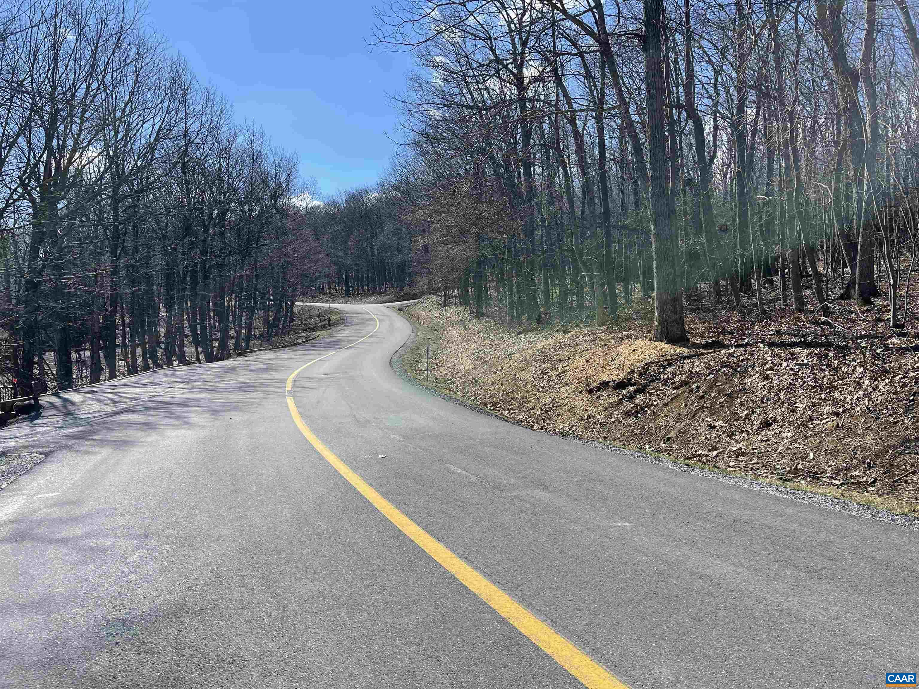 1025 Blue Ridge Drive Roseland, VA 22967 - Photo 7 of 7