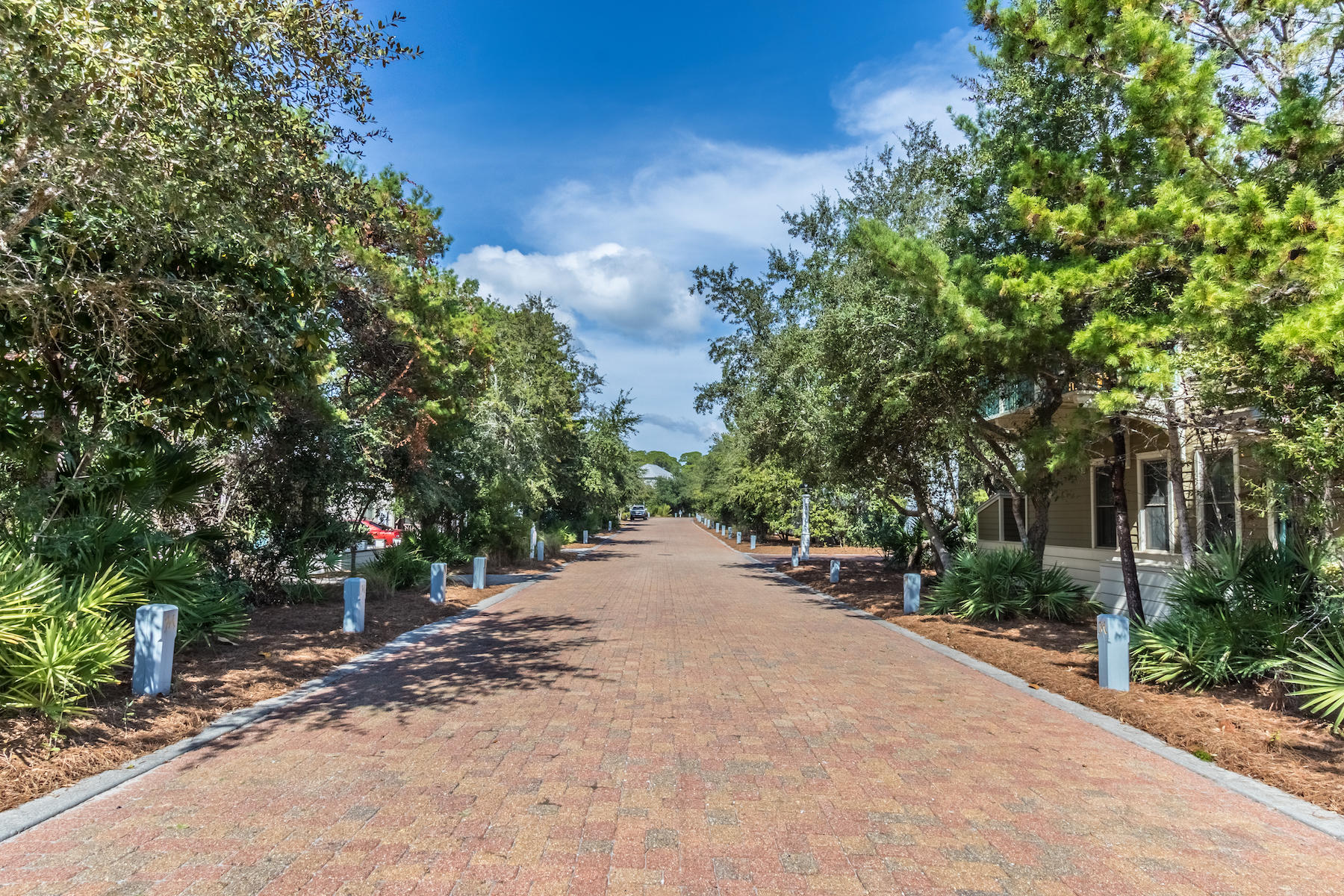 19 Vizcaya Lane Inlet Beach, FL 32461 - Photo 23 of 26 a view of a road with plants and trees