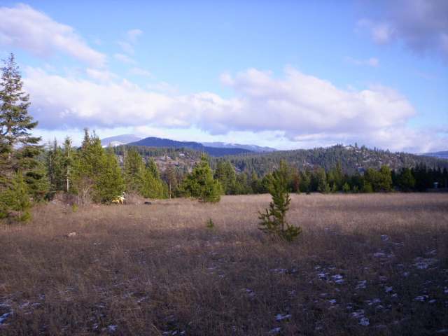 123 Reynolds Creek Road Cusick, WA 99119 - Photo 3 of 7 Gallery Image 3