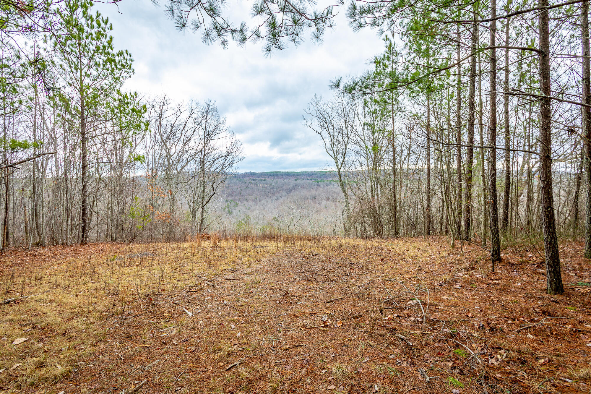 0 Split Rail Way, Unit LOT 1354 Guild, TN 37340 - Photo 1 of 68 River Gorge Ranch Lot 1354 HD-21