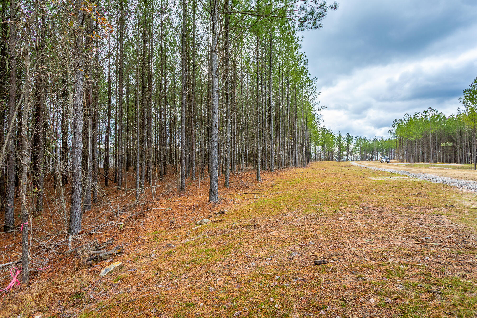 0 Split Rail Way, Unit LOT 1354 Guild, TN 37340 - Photo 16 of 68 River Gorge Ranch Lot 1354 HD-13