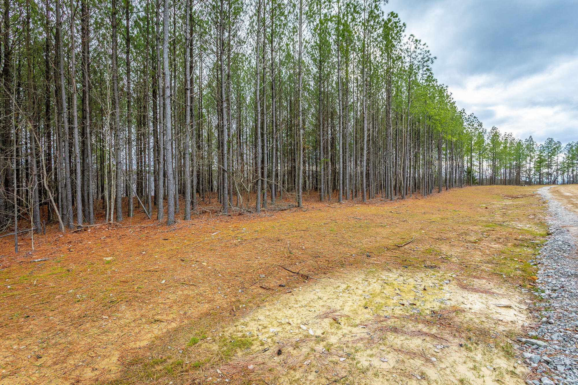 0 Split Rail Way, Unit LOT 1354 Guild, TN 37340 - Photo 17 of 68 River Gorge Ranch Lot 1354 HD-14