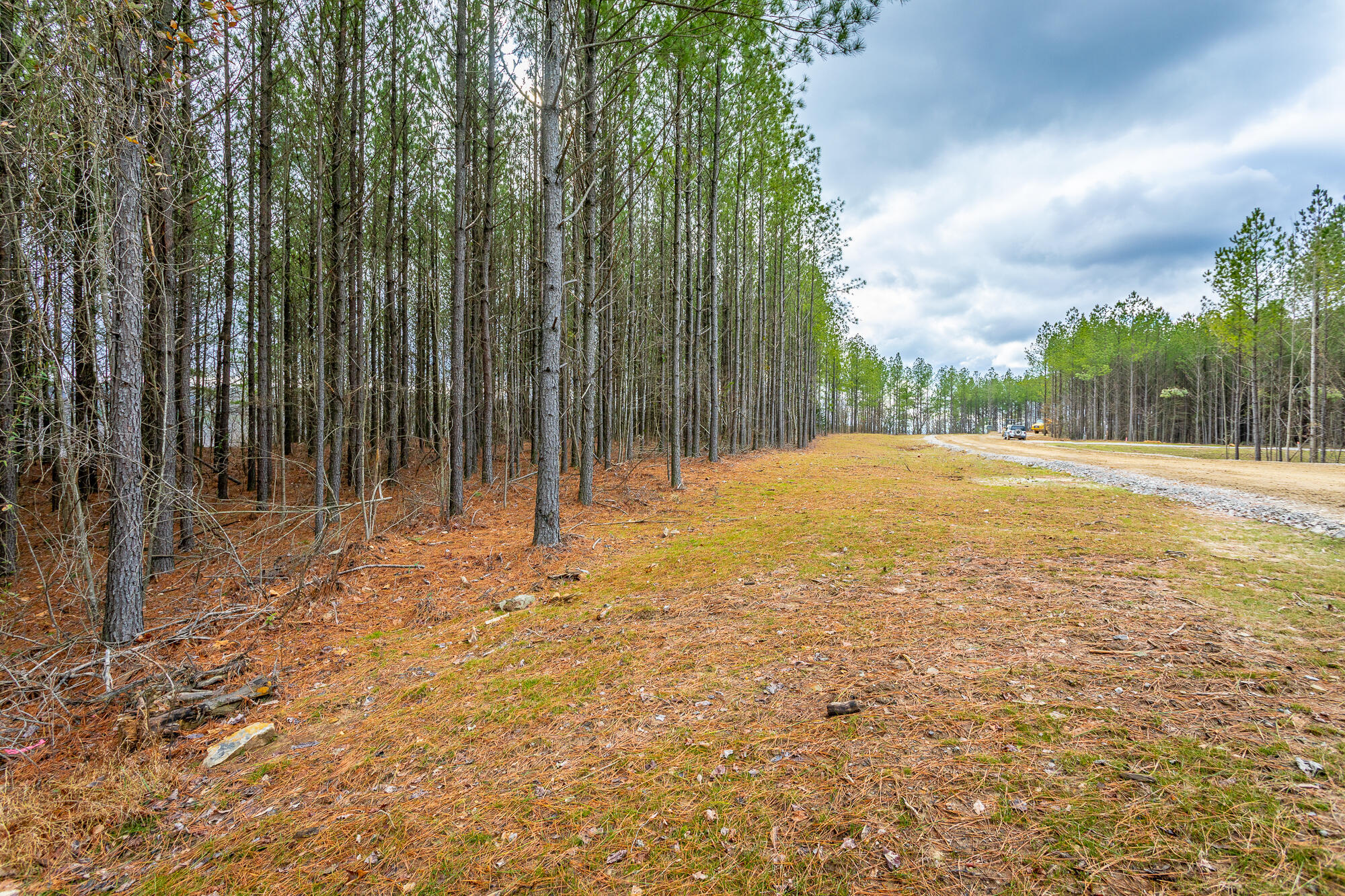 0 Split Rail Way, Unit LOT 1354 Guild, TN 37340 - Photo 18 of 68 River Gorge Ranch Lot 1354 HD-12