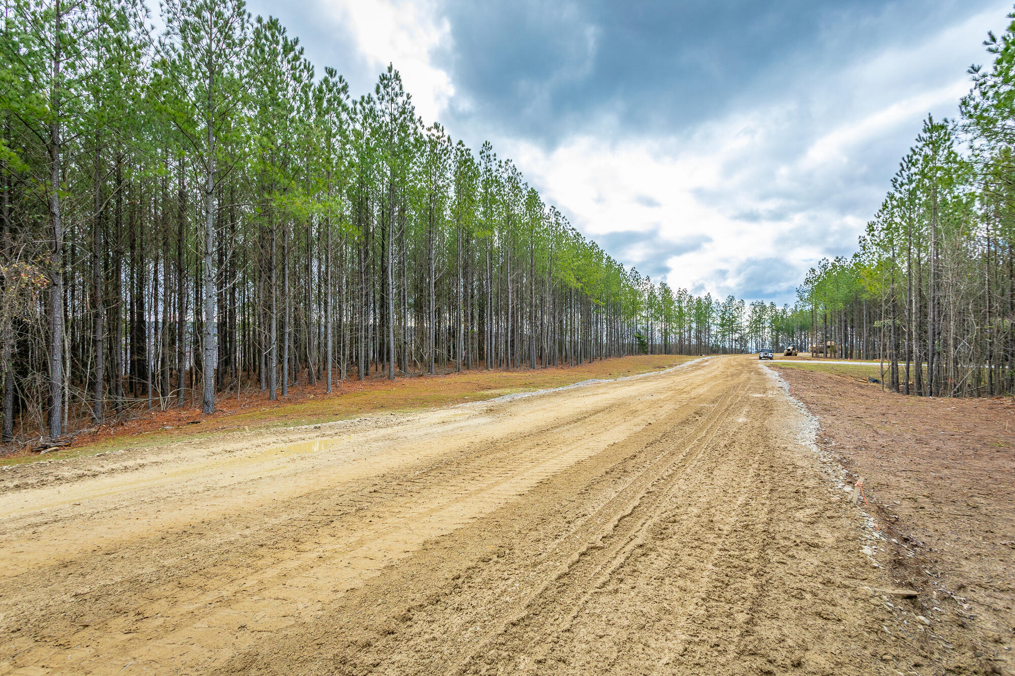 0 Split Rail Way, Unit LOT 1354 Guild, TN 37340 - Photo 19 of 68 River Gorge Ranch Lot 1354 HD-9