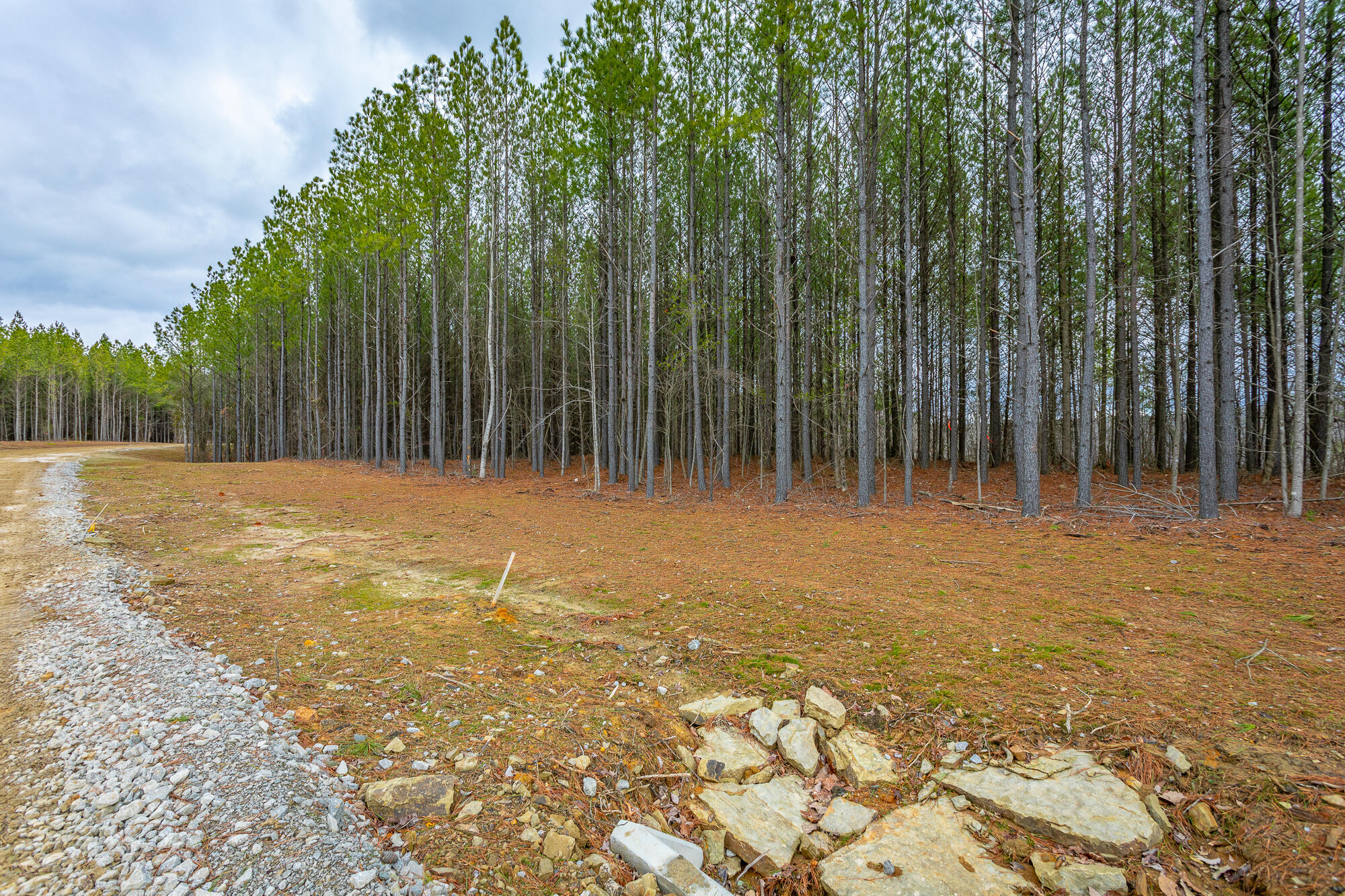 0 Split Rail Way, Unit LOT 1354 Guild, TN 37340 - Photo 20 of 68 River Gorge Ranch Lot 1354 HD-3