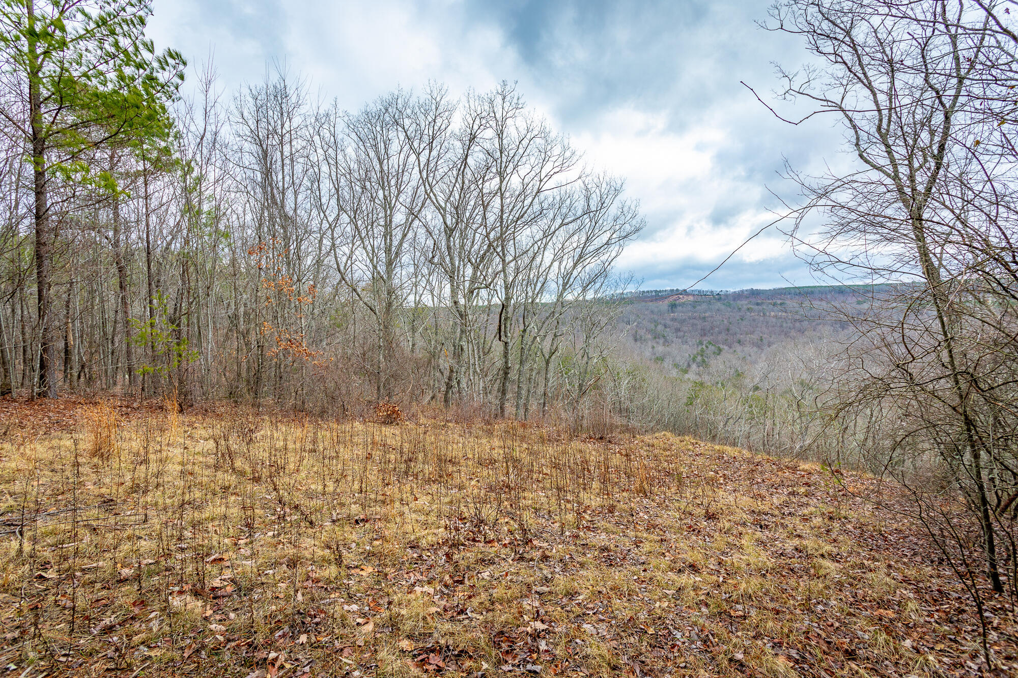 0 Split Rail Way, Unit LOT 1354 Guild, TN 37340 - Photo 2 of 68 River Gorge Ranch Lot 1354 HD-25