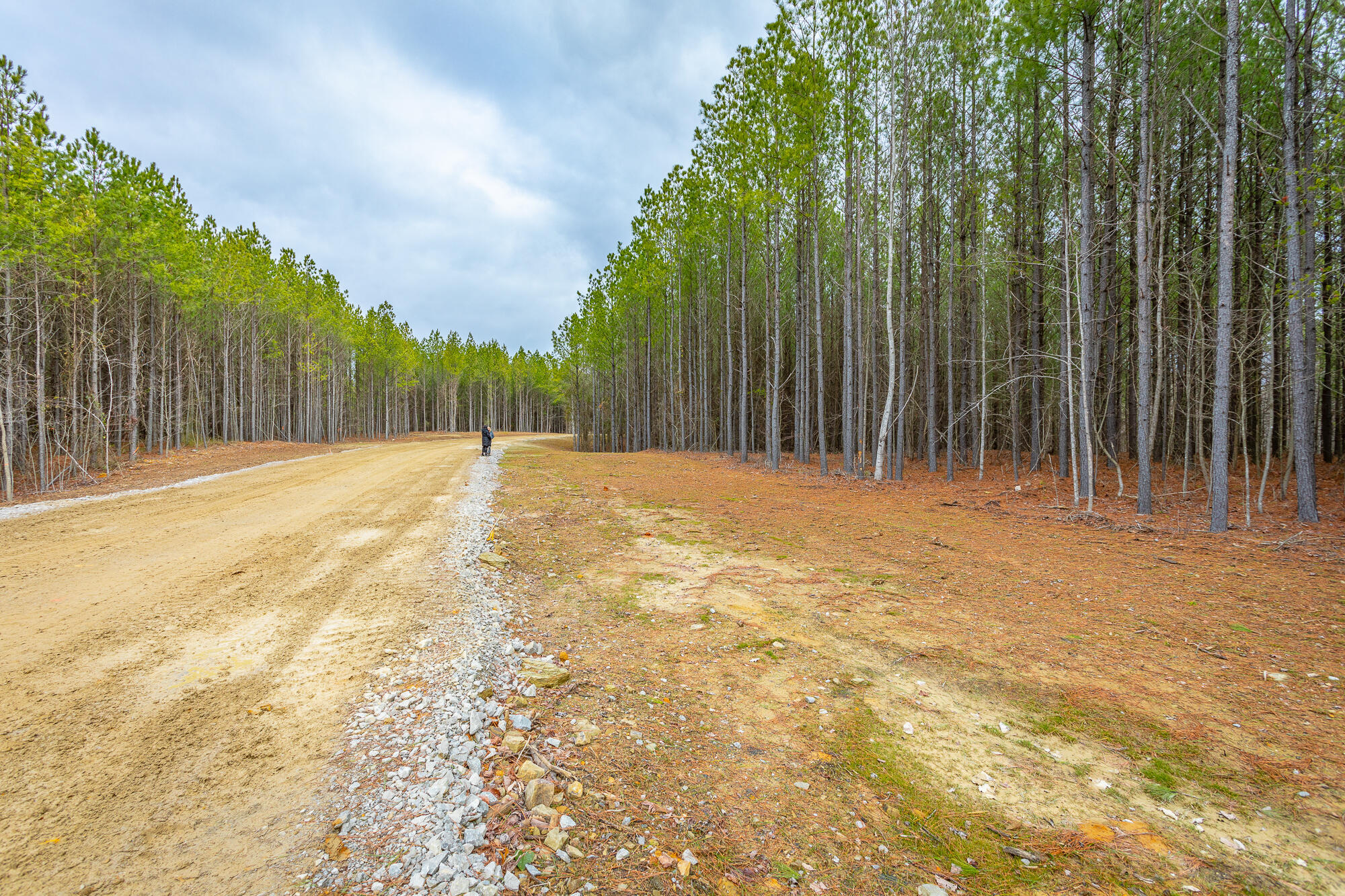 0 Split Rail Way, Unit LOT 1354 Guild, TN 37340 - Photo 22 of 68 River Gorge Ranch Lot 1354 HD-36