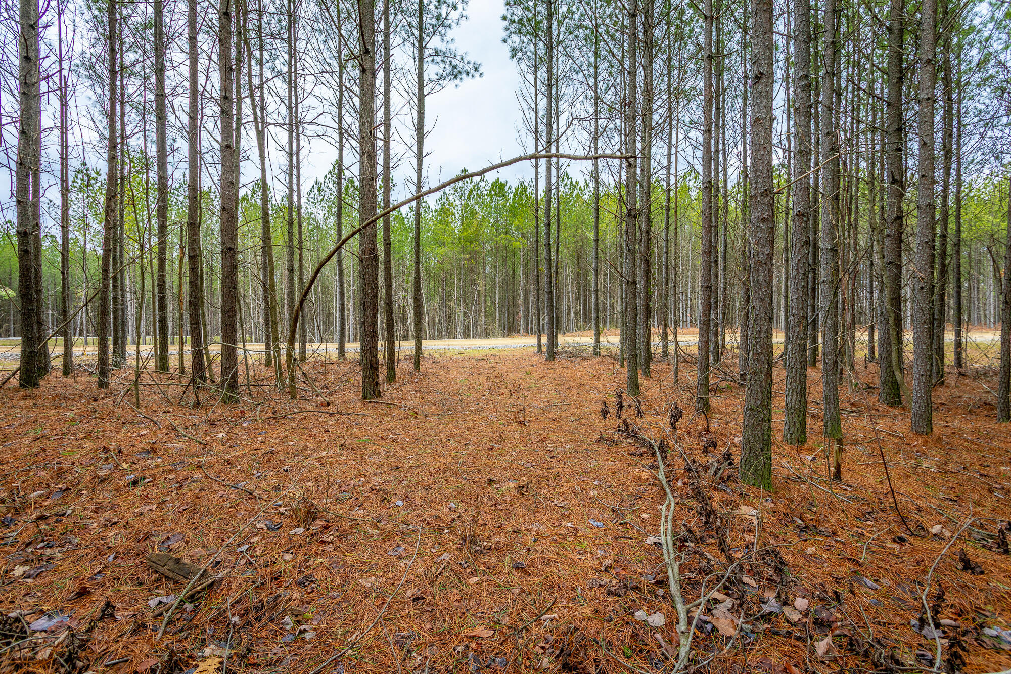 0 Split Rail Way, Unit LOT 1354 Guild, TN 37340 - Photo 23 of 68 River Gorge Ranch Lot 1354 HD-33