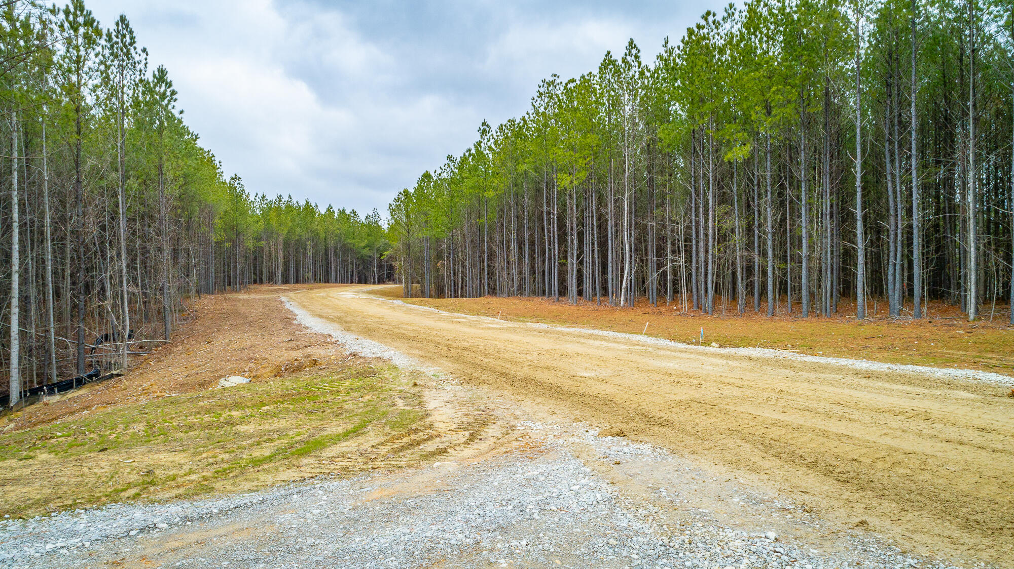 0 Split Rail Way, Unit LOT 1354 Guild, TN 37340 - Photo 24 of 68 River Gorge Ranch Lot 1354 HD-37