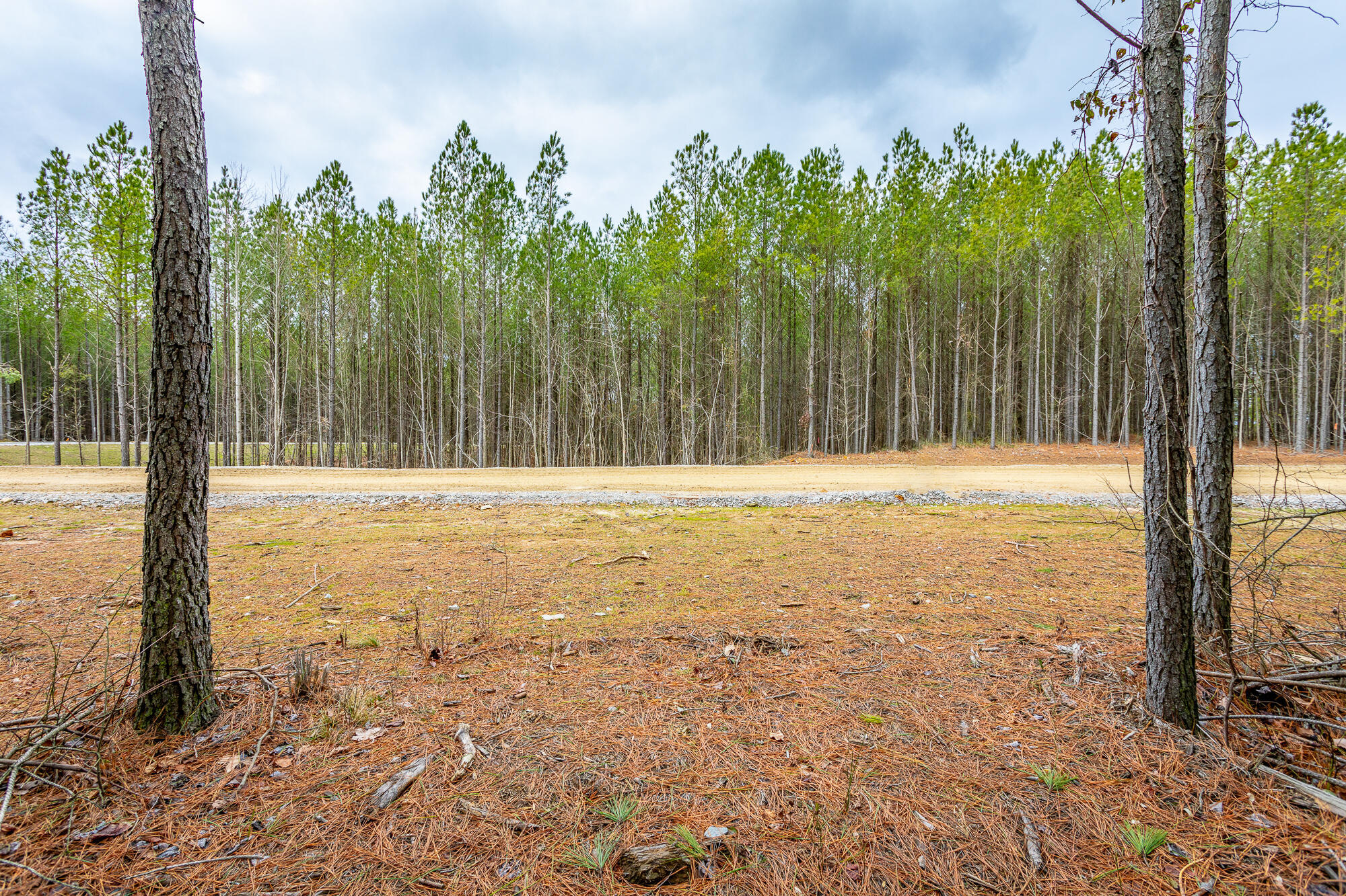 0 Split Rail Way, Unit LOT 1354 Guild, TN 37340 - Photo 25 of 68 River Gorge Ranch Lot 1354 HD-34