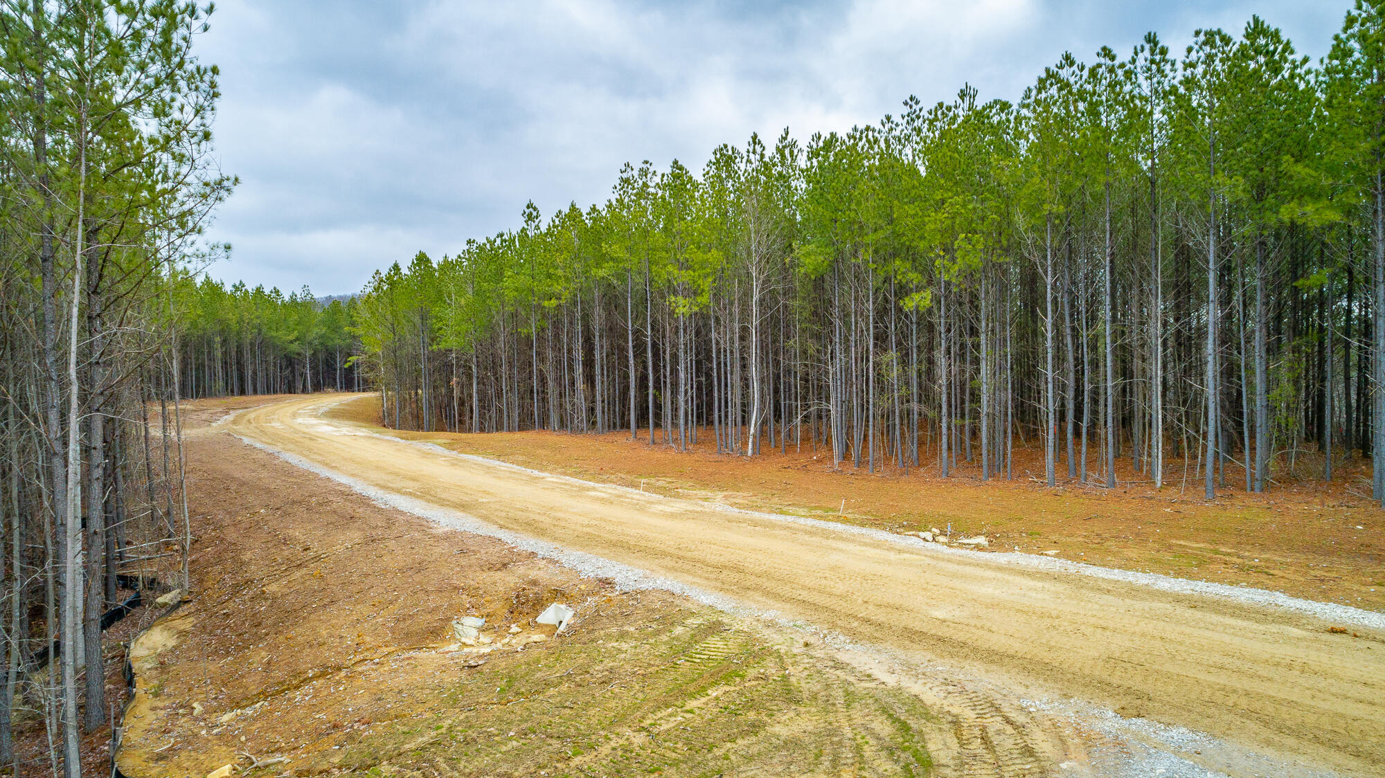 0 Split Rail Way, Unit LOT 1354 Guild, TN 37340 - Photo 26 of 68 River Gorge Ranch Lot 1354 HD-38