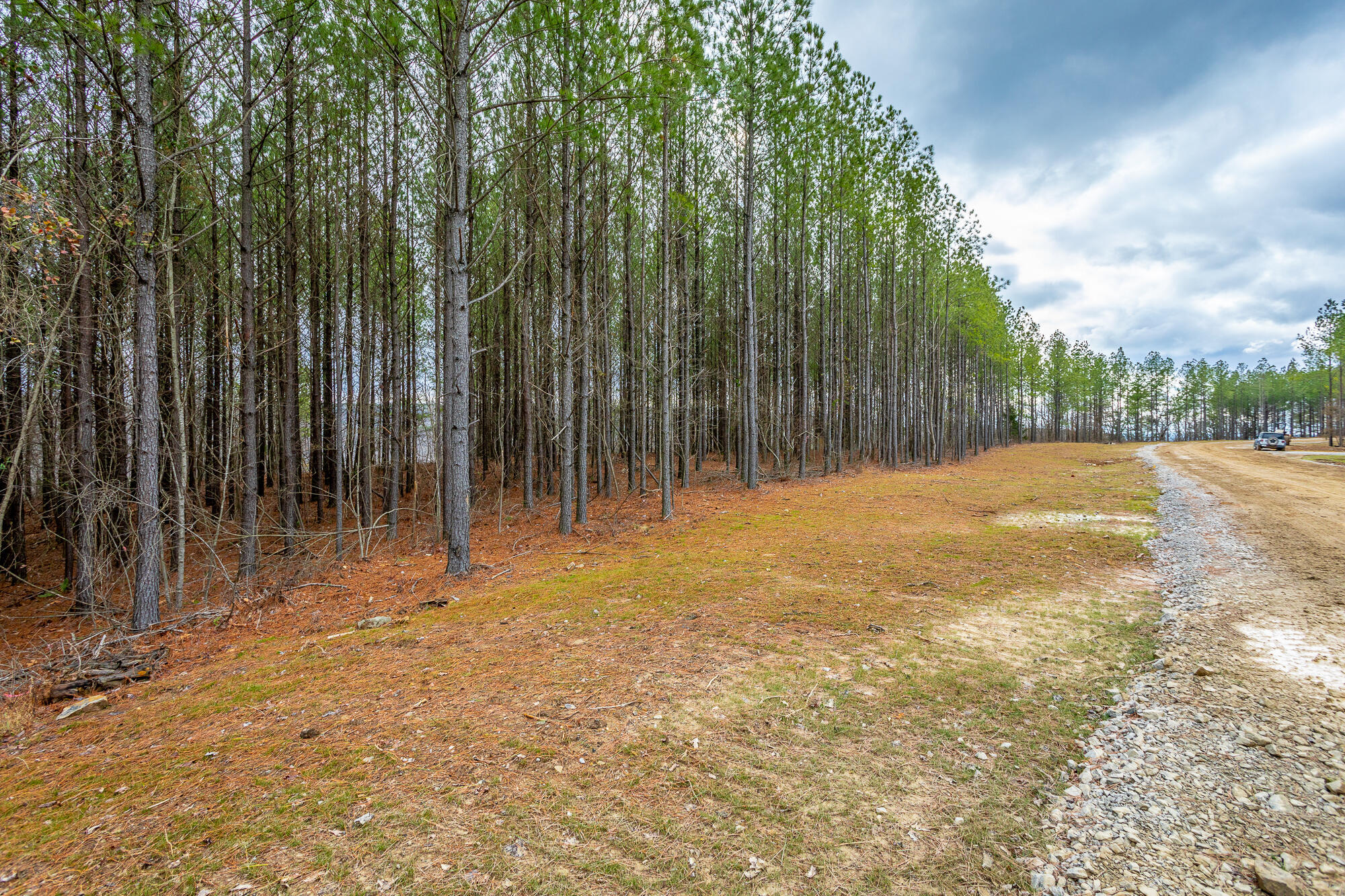 0 Split Rail Way, Unit LOT 1354 Guild, TN 37340 - Photo 27 of 68 River Gorge Ranch Lot 1354 HD-11