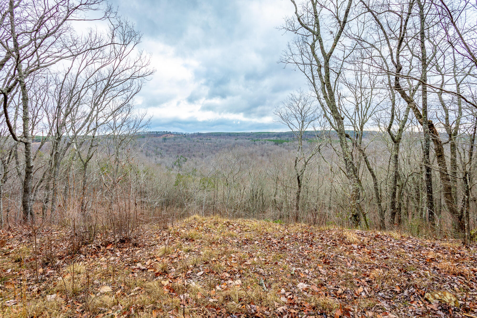 0 Split Rail Way, Unit LOT 1354 Guild, TN 37340 - Photo 3 of 68 River Gorge Ranch Lot 1354 HD-26