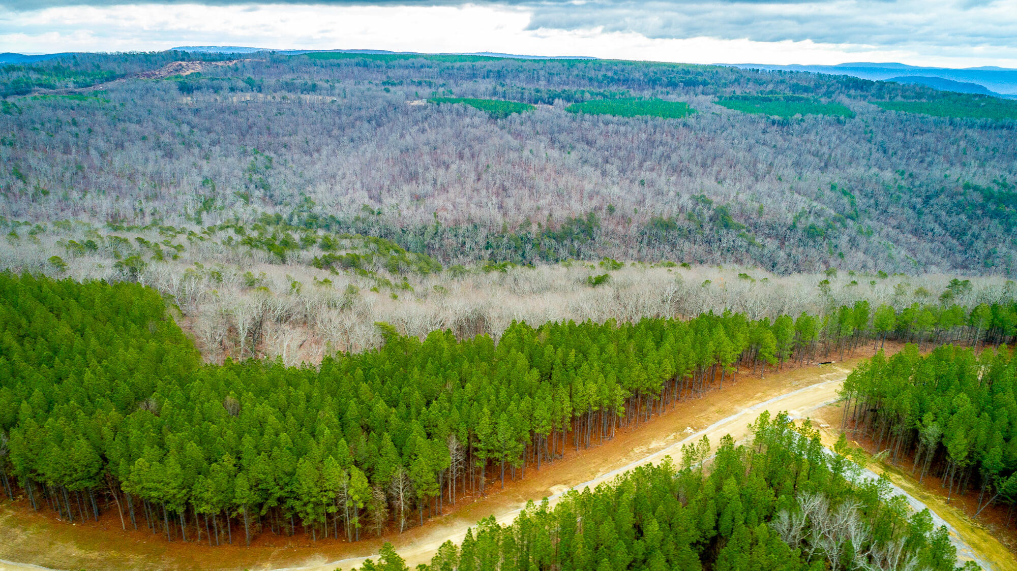 0 Split Rail Way, Unit LOT 1354 Guild, TN 37340 - Photo 50 of 68 River Gorge Ranch Lot 1354 HD-98