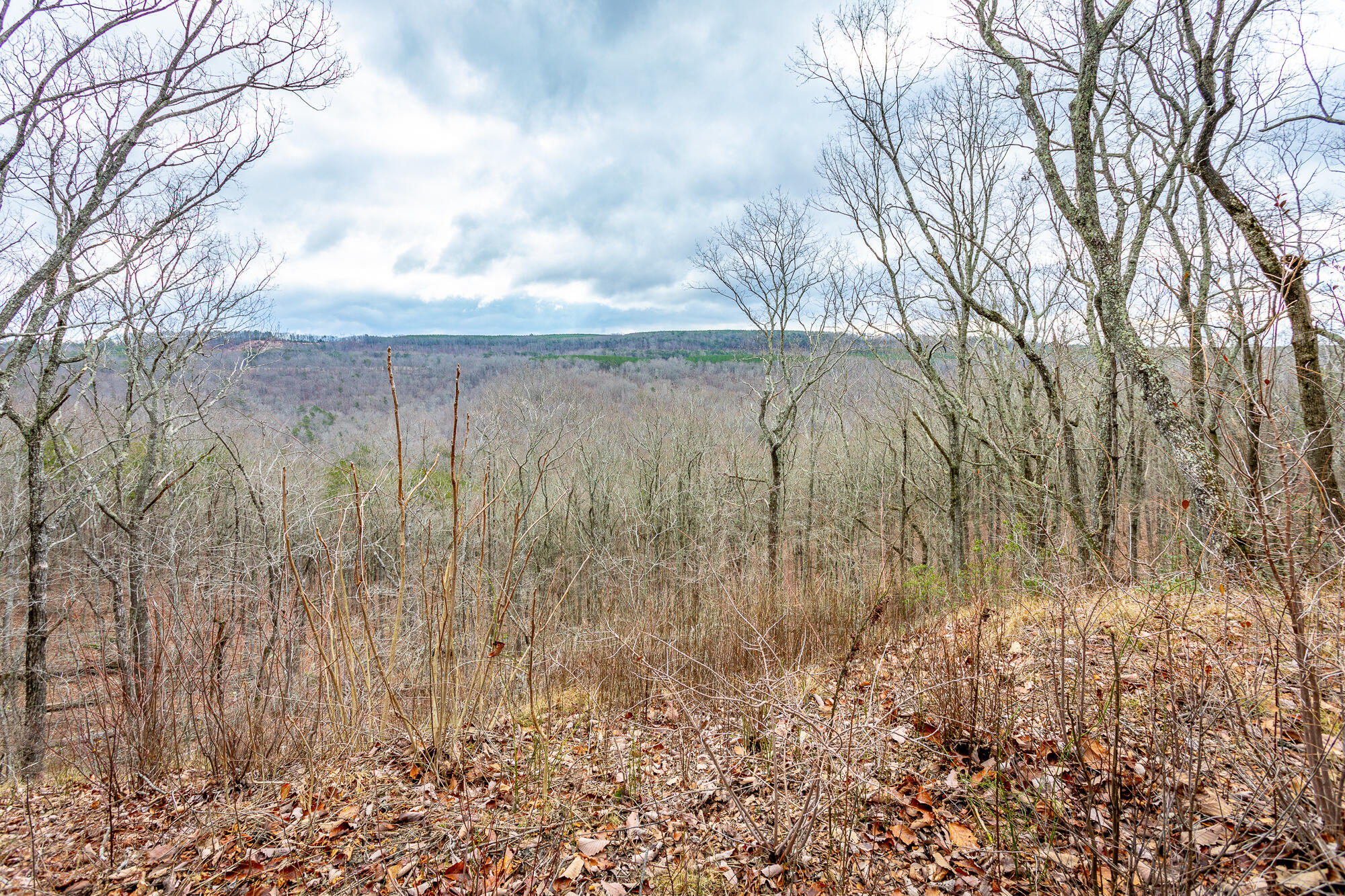 0 Split Rail Way, Unit LOT 1354 Guild, TN 37340 - Photo 5 of 68 River Gorge Ranch Lot 1354 HD-29