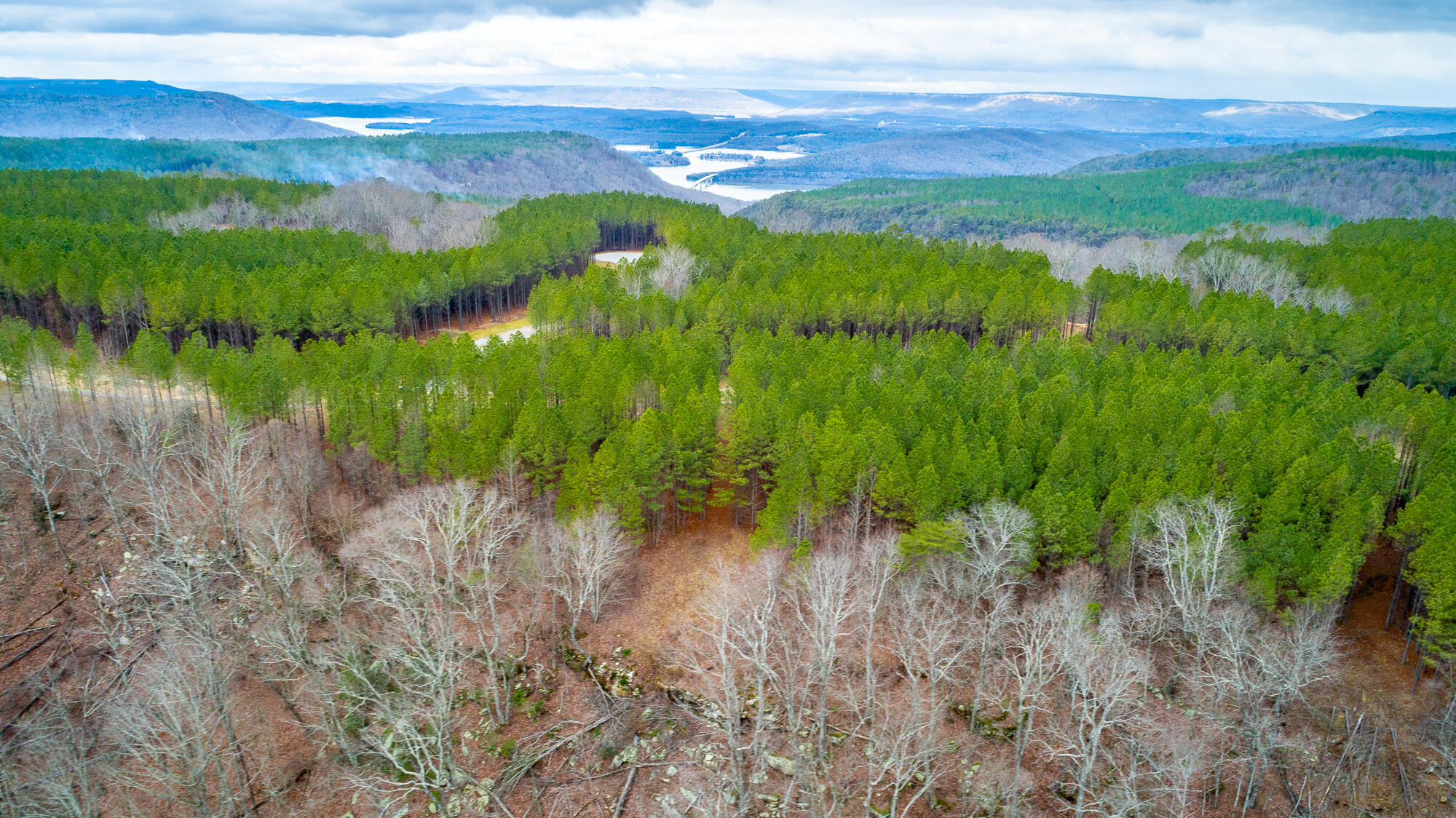 0 Split Rail Way, Unit LOT 1354 Guild, TN 37340 - Photo 60 of 68 River Gorge Ranch Lot 1354 HD-66