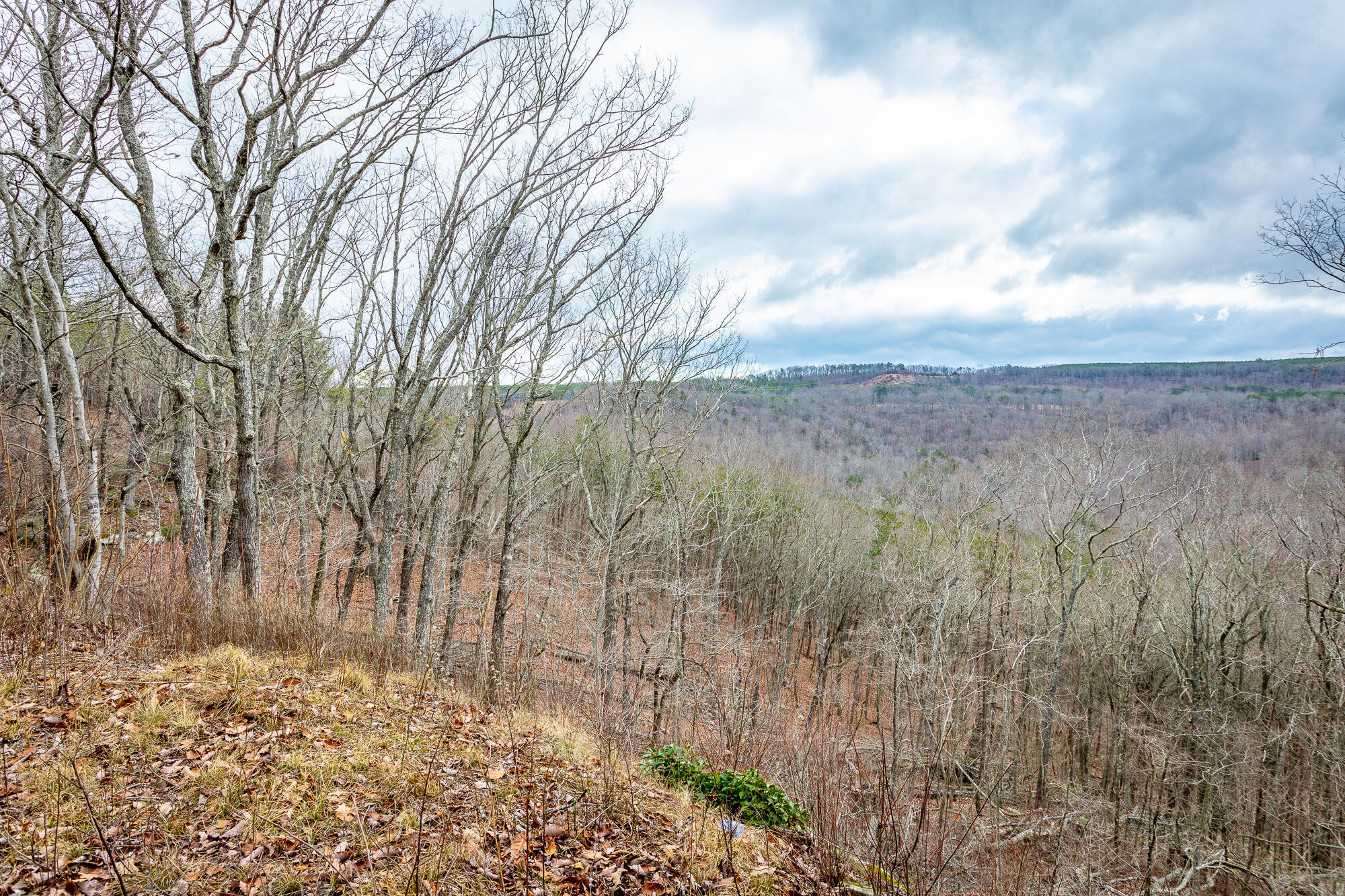 0 Split Rail Way, Unit LOT 1354 Guild, TN 37340 - Photo 6 of 68 River Gorge Ranch Lot 1354 HD-28