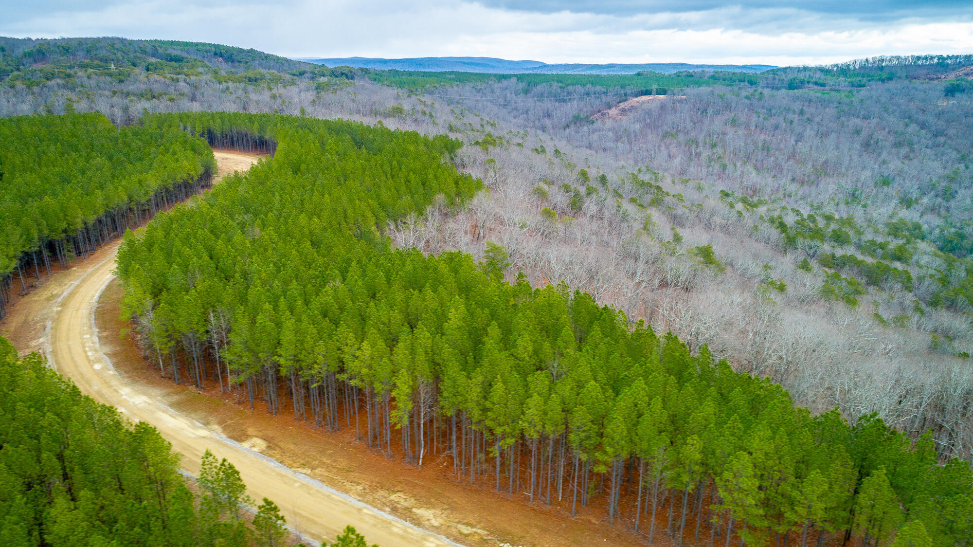 0 Split Rail Way, Unit LOT 1354 Guild, TN 37340 - Photo 61 of 68 River Gorge Ranch Lot 1354 HD-57