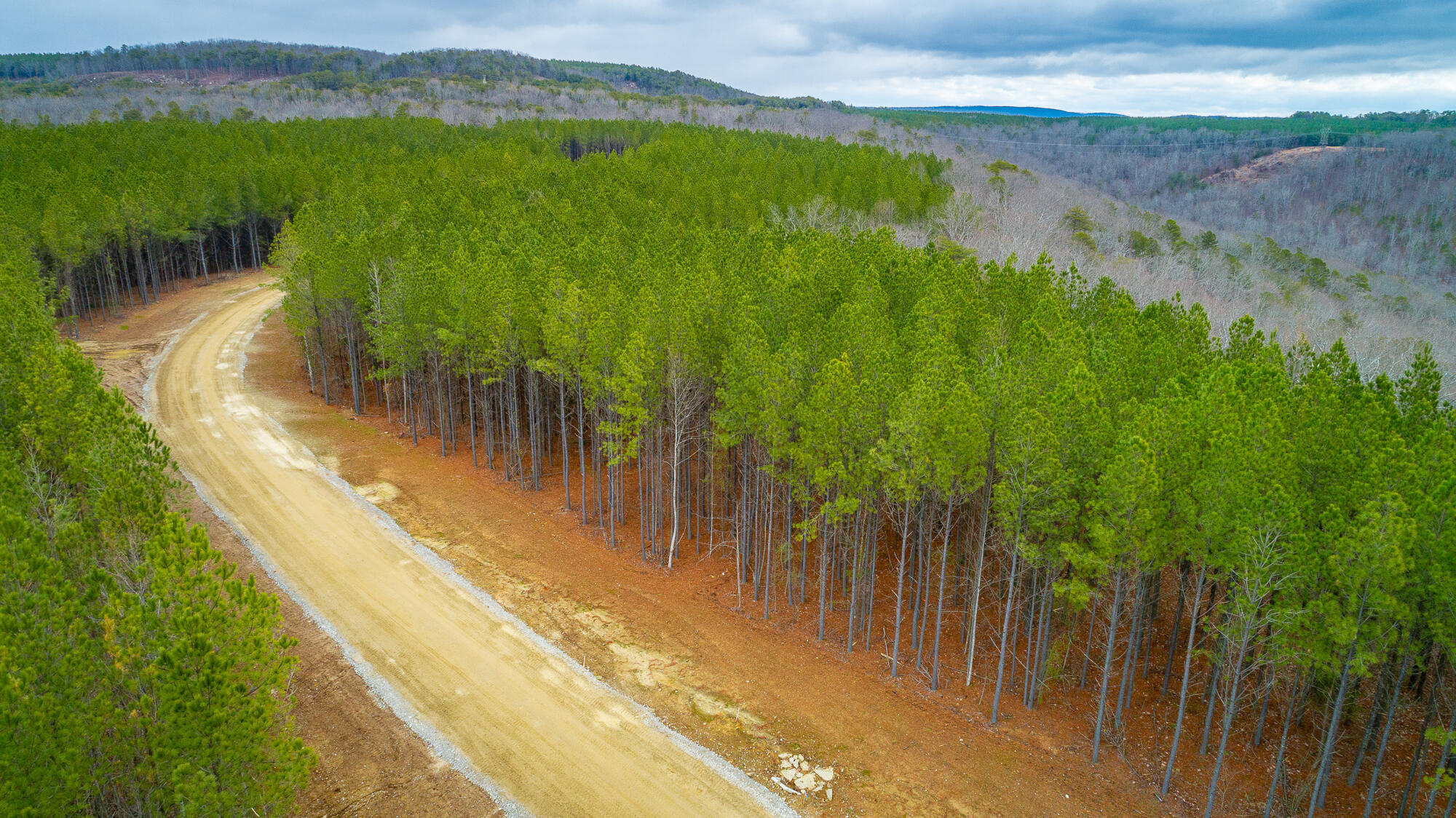 0 Split Rail Way, Unit LOT 1354 Guild, TN 37340 - Photo 62 of 68 River Gorge Ranch Lot 1354 HD-46