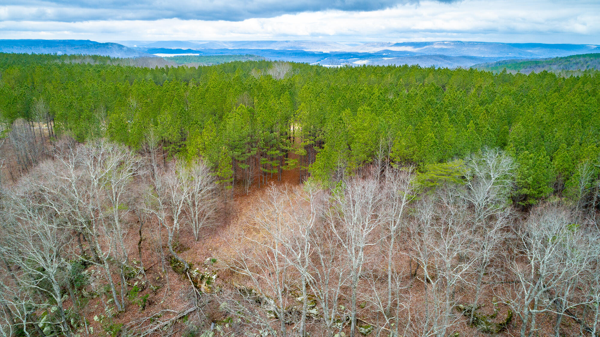 0 Split Rail Way, Unit LOT 1354 Guild, TN 37340 - Photo 63 of 68 River Gorge Ranch Lot 1354 HD-51