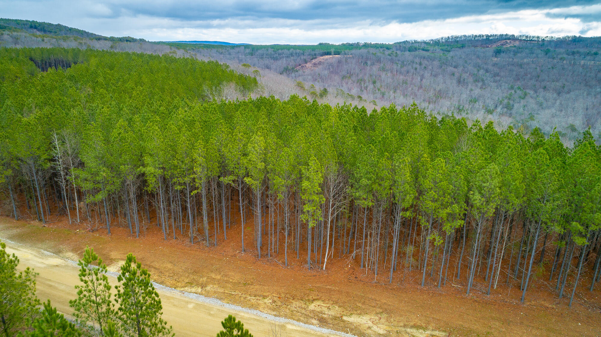 0 Split Rail Way, Unit LOT 1354 Guild, TN 37340 - Photo 64 of 68 River Gorge Ranch Lot 1354 HD-45