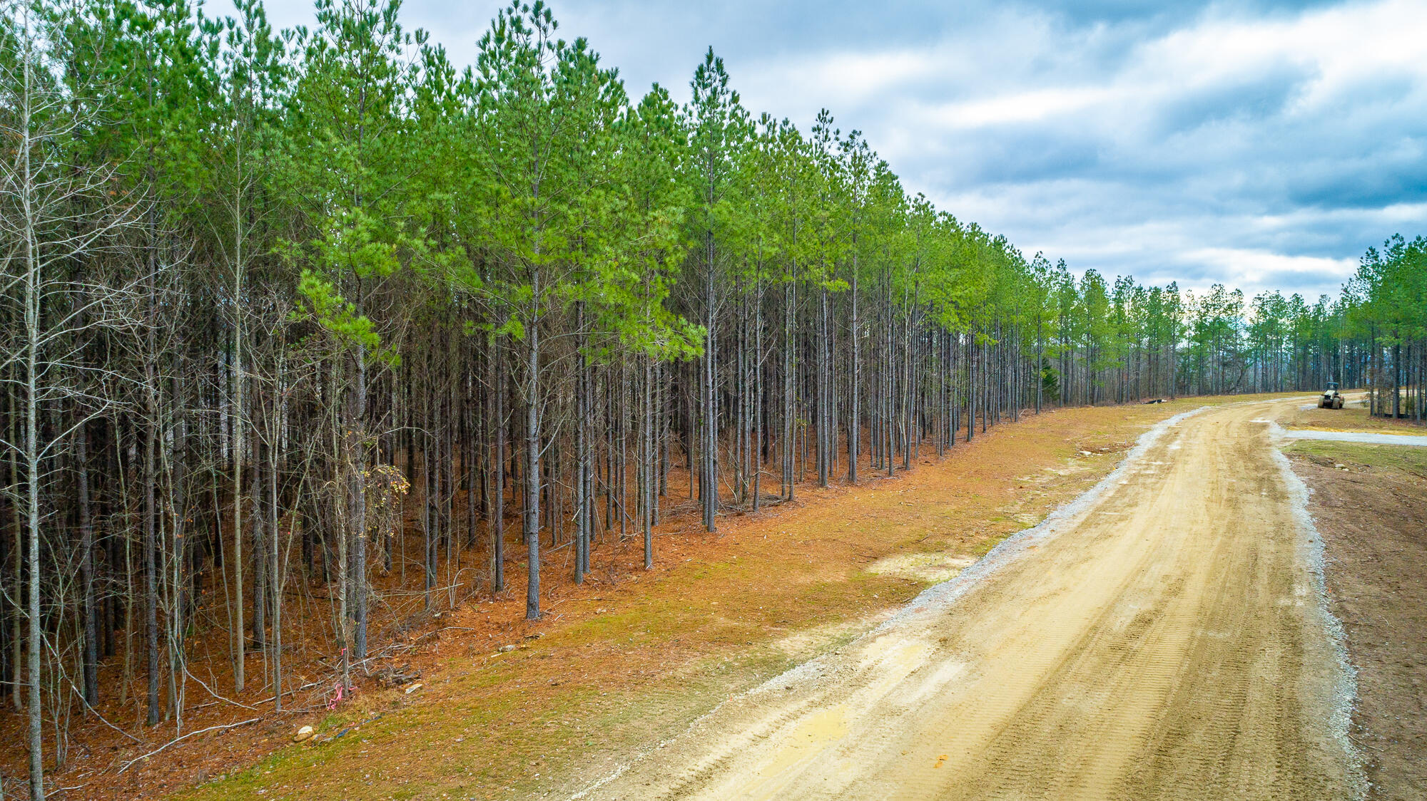 0 Split Rail Way, Unit LOT 1354 Guild, TN 37340 - Photo 65 of 68 River Gorge Ranch Lot 1354 HD-41