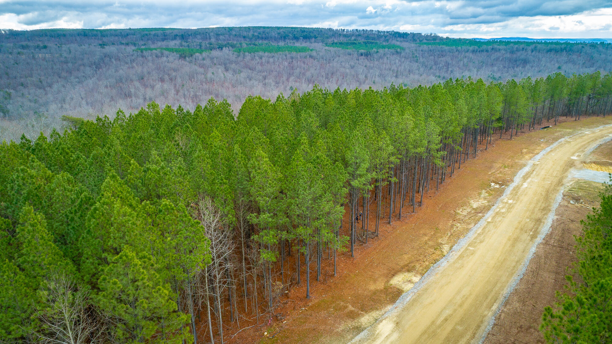 0 Split Rail Way, Unit LOT 1354 Guild, TN 37340 - Photo 66 of 68 River Gorge Ranch Lot 1354 HD-44