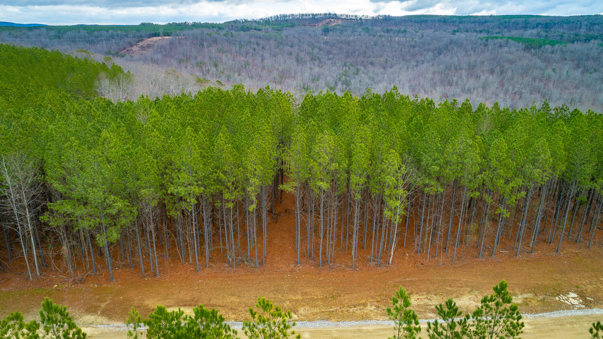 0 Split Rail Way, Unit LOT 1354 Guild, TN 37340 - Photo 67 of 68 River Gorge Ranch Lot 1354 HD-42