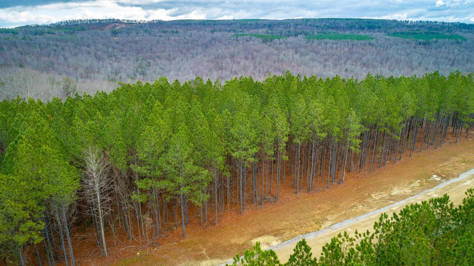 0 Split Rail Way, Unit LOT 1354 Guild, TN 37340 - Photo 68 of 68 River Gorge Ranch Lot 1354 HD-43