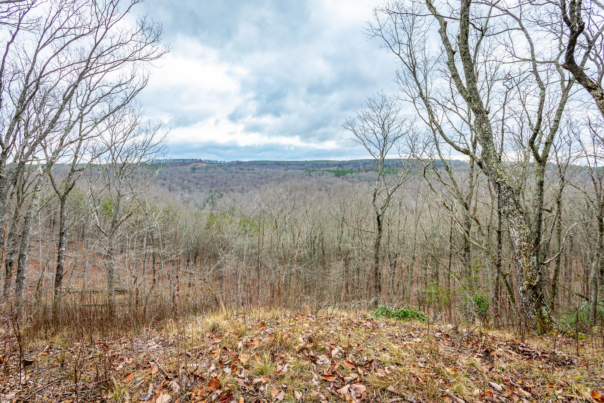 0 Split Rail Way, Unit LOT 1354 Guild, TN 37340 - Photo 7 of 68 River Gorge Ranch Lot 1354 HD-27